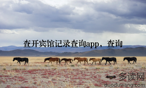 查开宾馆记录查询app，查询