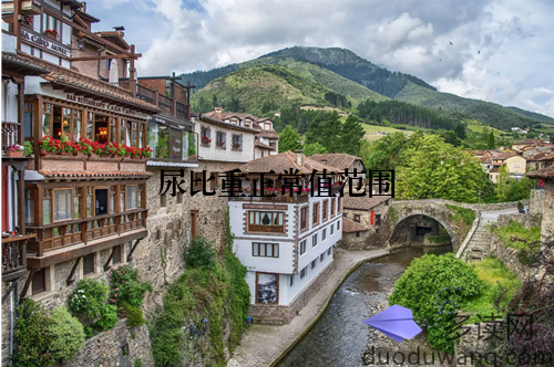 尿比重正常值范围