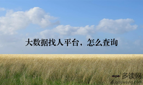 大数据找人平台，怎么查询