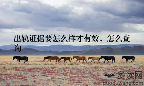 出轨证据要怎么样才有效，怎么查询