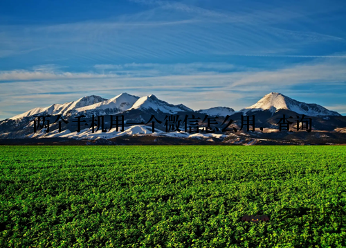 两个手机用一个微信怎么用，查询