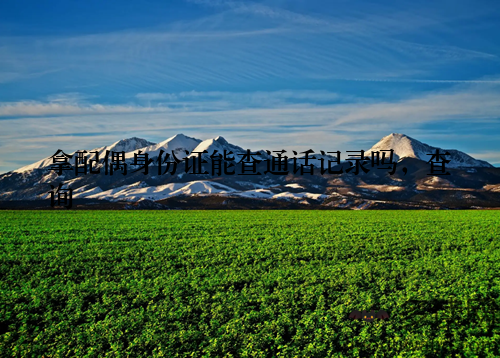 拿配偶身份证能查通话记录吗,查询