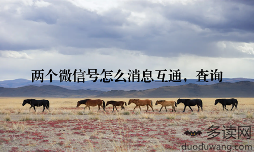 两个微信号怎么消息互通，查询