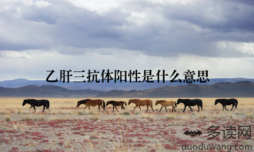 乙肝三抗体阳性是什么意思