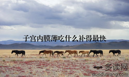 子宫内膜薄吃什么补得最快