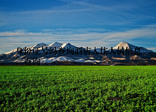 身份证号码查询酒店入住人员信息，查询