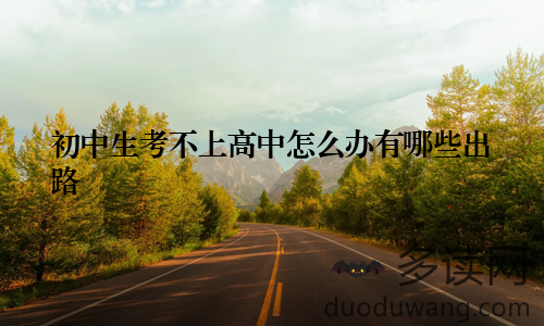 初中生考不上高中怎么办有哪些出路