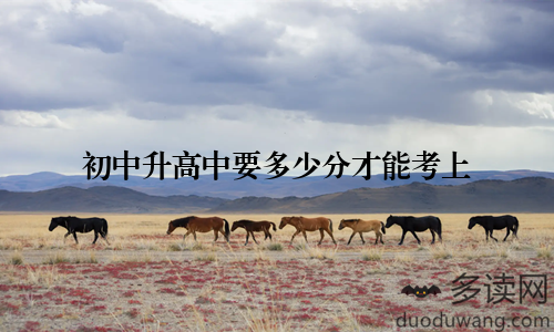 初中升高中要多少分才能考上