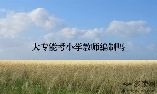 大专能考小学教师编制吗