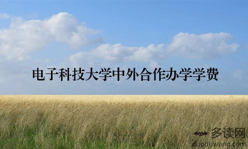 电子科技大学中外合作办学学费