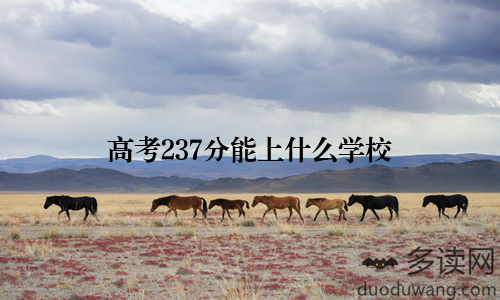 高考237分能上什么学校