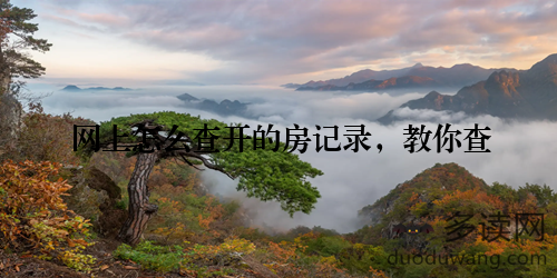网上怎么查开的房记录，教你查