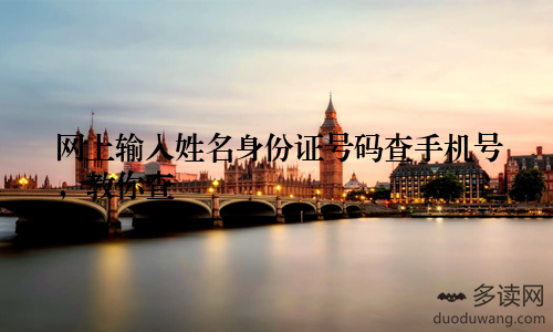 网上输入姓名身份证号码查手机号，教你查