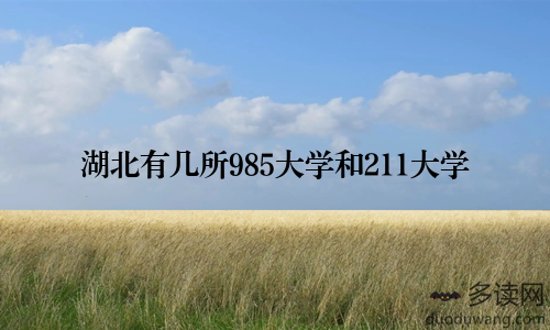 湖北有几所985大学和211大学