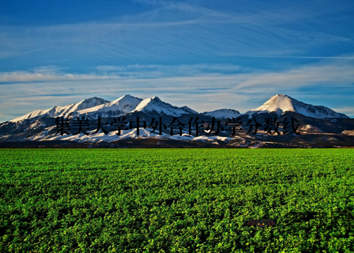 集美大学中外合作办学分数线