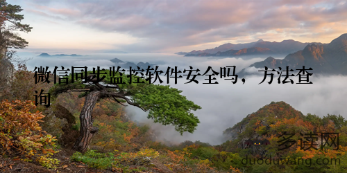 微信同步监控软件安全吗，方法查询