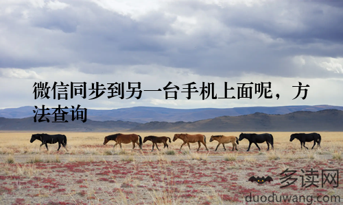 微信同步到另一台手机上面呢，方法查询