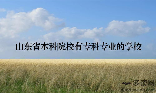 山东省本科院校有专科专业的学校