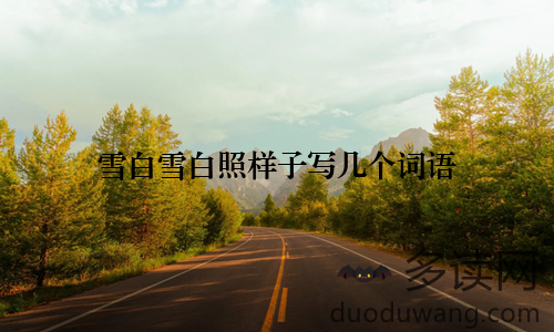 雪白雪白照样子写几个词语