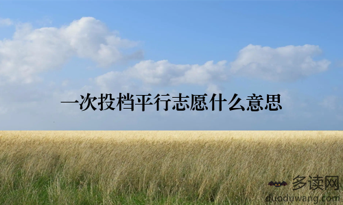 一次投档平行志愿什么意思