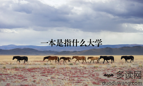 一本是指什么大学