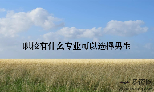 职校有什么专业可以选择男生