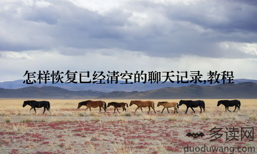 怎样恢复已经清空的聊天记录,教程