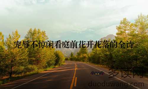 宠辱不惊闲看庭前花开花落的全诗