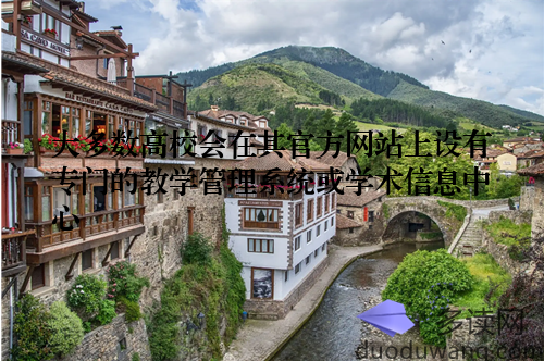 大多数高校会在其官方网站上设有专门的教学管理系统或学术信息中心