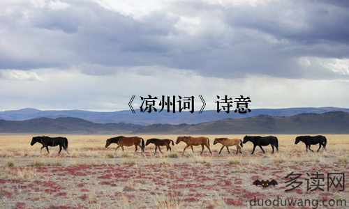 《凉州词》诗意