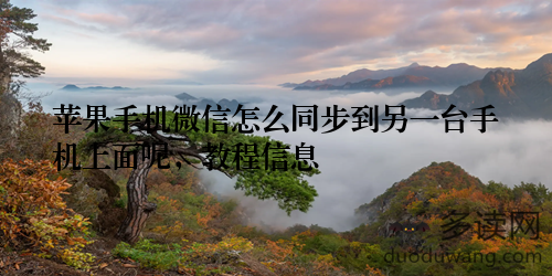 苹果手机微信怎么同步到另一台手机上面呢，教程信息