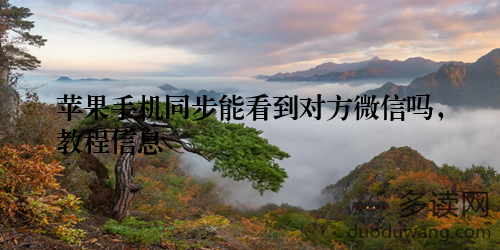 苹果手机同步能看到对方微信吗，教程信息