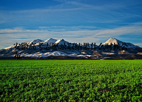 安徽高考志愿录取结果什么时候公布