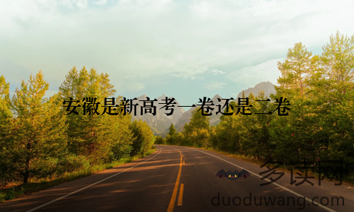 安徽是新高考一卷还是二卷