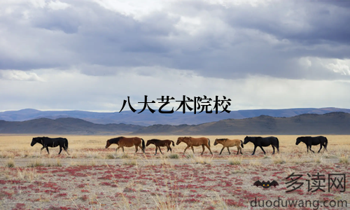 八大艺术院校