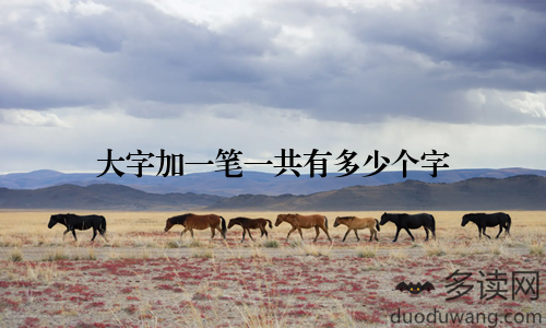 大字加一笔一共有多少个字