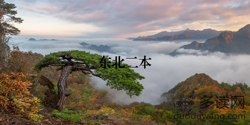 东北二本