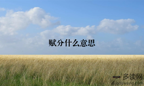 赋分什么意思
