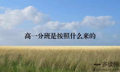高一分班是按照什么来的