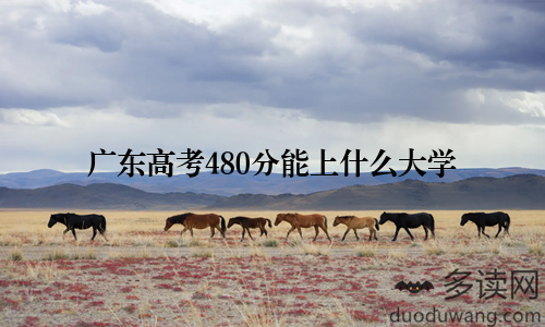 广东高考480分能上什么大学