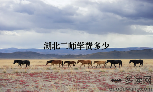 湖北二师学费多少