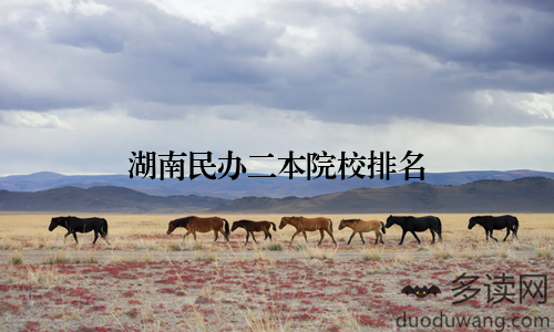 湖南民办二本院校排名