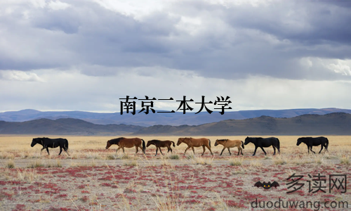 南京二本大学