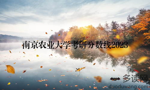 南京农业大学考研分数线2023