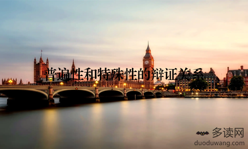 普遍性和特殊性的辩证关系