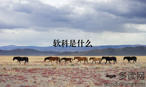 软科是什么