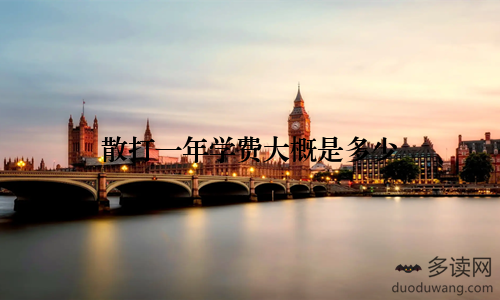 散打一年学费大概是多少