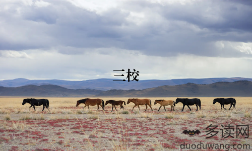 三校