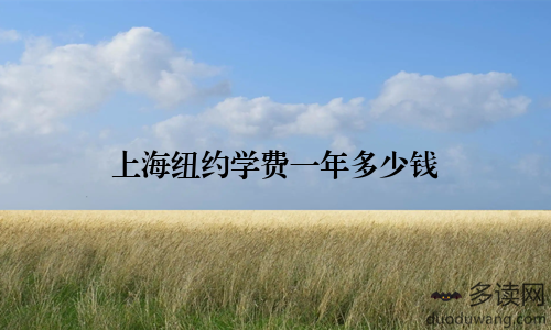 上海纽约学费一年多少钱