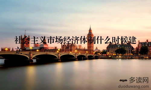 社会主义市场经济体制什么时候建立